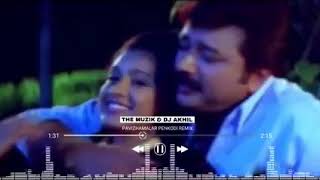 Pavizhamalar Penkodi Remix One Man Show Malayalam remix Dj Akhil Dance mix The muzik 240 [upl. by Nanreit]