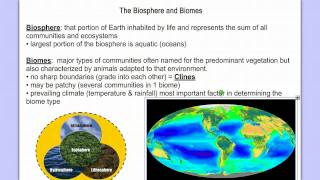 Introduction to Ecology Part 1 [upl. by Llezo]