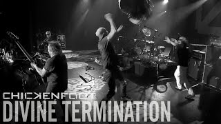 Chickenfoot quotDivine Terminationquot from quotBEST  LIVEquot Official Music Video HD [upl. by Firestone]