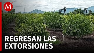 Cierran 15 empacadoras de limón en Apatzingán exigen más seguridad [upl. by Pass]