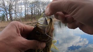 I Just Had A Feeling Lipless Crankbait LMB Crappie Sunfish [upl. by Yrotciv]