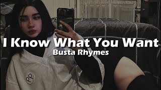 Busta Rhymes Mariah Carey  I Know What You Want Lyrics feat The Flipmode Squad [upl. by Rennoc]