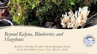 Beyond Kalyna Blueberries and Hazelnuts Where to Find Mushrooms  Karen Slevinsky [upl. by Regdirb]