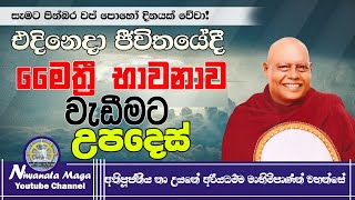 එදිනෙදා ජීවිතයේ මෛත්‍රී භාවනාව වැඩීමට උපදෙස් Maithri Bawanava ven na uyane ariyadhamma maha thero [upl. by Melamie373]