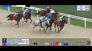 resumen dela jornada de hoy en gulfstream park jaramillo gana 3 carrera [upl. by Venezia]