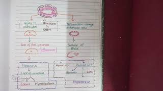 Nephrotic and Nephritic Syndrome [upl. by Terese]