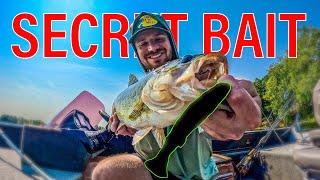 SECRET Saltwater Swimbait Catches BIG BASS [upl. by Calmas]