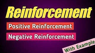 ReinforcementType of ReinforcementPositive behaviorNegative behaviorExamplehindienglish [upl. by Isoj]