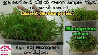 Microgreens Growing at Home  Microgreens without soil  Microgreens Recipe  Microgreens Malayalam [upl. by Klara]