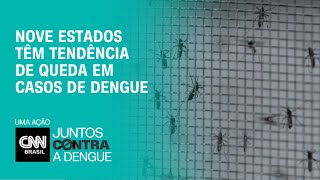 Nove estados têm tendência de queda em casos de dengue  CNN PRIME TIME [upl. by Namielus]