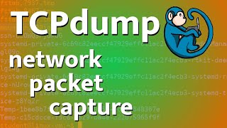 packet capture tutorial using tcpdump [upl. by Netsyrk]