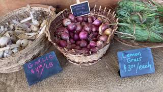 TOOK GRANNY TO A FARMERS MARKET [upl. by Gass]