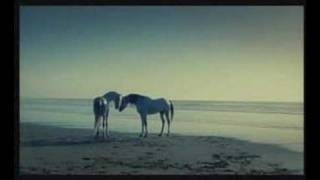 Spot Turismo de Marruecos  Agadir [upl. by Eidolem]