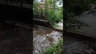 Hochwasser  Wasserburg am Inn [upl. by Girand]