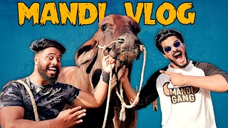 Karachi Cow Mandi Vlog 2022  Bakra Eid  Eid Ul Azha  Mishkat khan [upl. by Esiuolyram]