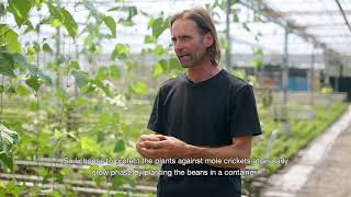 Organic farm tour  Tour de boer David van Luyendijk [upl. by Jaf]