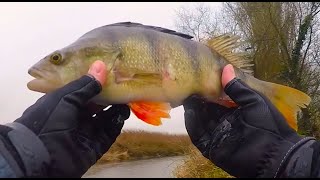 HOW TO TIE A DROPSHOT RIG FOR BIG PERCH [upl. by Yerxa]