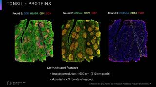 Labroots Webinar  Enabling Spatial Biology at Scale with InSitu Sequencing on the G4X [upl. by Kerrison]