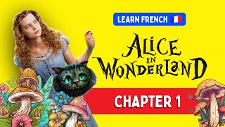 Learn French with Alice In Wonderland Chapter 1 Down The Rabbit Hole [upl. by Anirres]