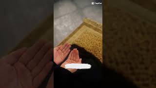 Doa wo mojza hy jes ki koi entaha hi nh❣️🙏🤲 Islamic Video [upl. by Merrel]