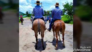 🐎No Saco de Estopa com embira amarrado eu tenho guardado a minha paixão🐎🐎 [upl. by Jennine]