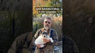 What kind of puppy What kind of adventures puppy dog dogtraining [upl. by Rufford358]