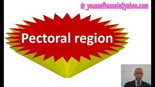 4 Muscles of pectoral region  Clavipectoral fascia Serratus anterior [upl. by Koenraad]