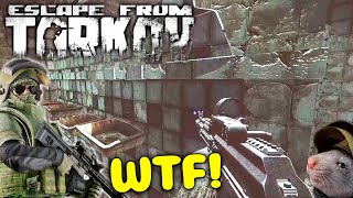 Escape from Tarkov  Best Highlights amp EFT WTF Funny Moments 123 [upl. by Queridas]