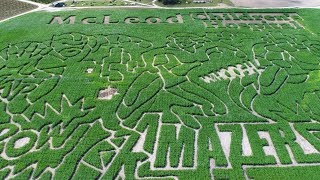 The McLeod Farms Corn Maze quotAmazersquot [upl. by Nodearb]