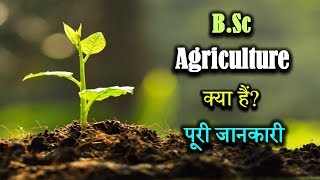 What is BSc Agriculture With Full Information – Hindi – Quick Support [upl. by Lednor]