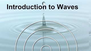 Physics Waves Frequency amp Wavelength FREE Science Lesson [upl. by Atillertse172]