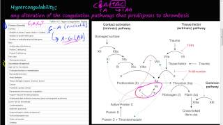 55P  Virchows triad Hypercoagulability Mutation in factor V and prothrombin genes [upl. by Eceeryt]