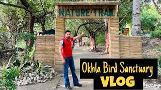 Okhla Bird Sanctuary  Noida  NewDelhi  Amit Choudhary Vlogs [upl. by Choong968]