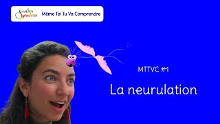 La neurulation MTTVC 1 [upl. by Sumer]