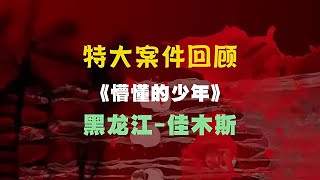 黑龍江省震驚全網！特大連環刑事案年內告破，警匪斗智的精彩瞬間！大案要案 案件調查 懸案密碼 懸案破解 懸案調查 大案 [upl. by Huberty554]