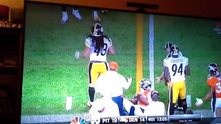 Troy Polamalu says Dont Stiff Arm Me [upl. by Gerianna]