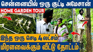 வெயில் அடிச்சாலும் வீட்டுக்குள் மழை பெய்யும் அதிசயம்  Jaswant Singh Home Garden In Chennai [upl. by Korella5]