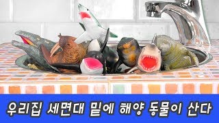 한국어ㅣ우리집 세면대 밑에 해양 동물이 산다 어린이 동물 만화 해양동물 이름ㅣ꼬꼬스토 [upl. by Kappel100]