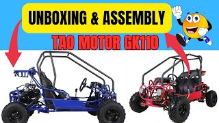 UNBOXING amp ASSEMBLY OF A MINI KIDS GO KART  TAO MOTORS GK110 PONY [upl. by Ahsitnauq]