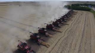 26 Combines  Canadian Foodgrains Bank Canola Harvest 2017  Killarney [upl. by Ahsilahk]