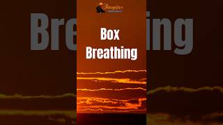 BoxBreathing StressRelief Mindfulness OnTheGoWellness BreathingGuide [upl. by Nnaxor]