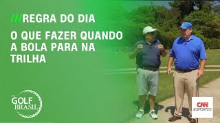 Regra do dia O que fazer quando a bola para na trilha  THE GOLF BRASIL [upl. by Noonan]