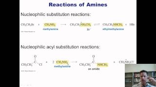 Chapter 21 – Amine Chemistry Part 1 of 2 [upl. by Tteragram]