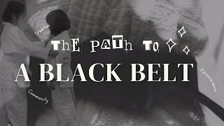 The Journey to a Black Belt A Philosophy for Life [upl. by Llig]