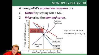 chapter 7 monopoly [upl. by Wildee]