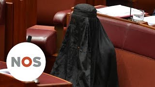 AUSTRALIË Kamerlid zet kwaad bloed met boerkastunt [upl. by Cherise668]