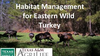 Habitat Management for Eastern Wild Turkey [upl. by Dallis]