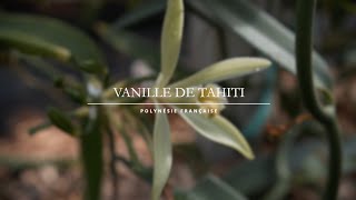 Vanité des vanités Lady G [upl. by Griffith]