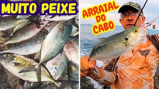 PEIXE em TODAS as ISCAS  JIG HEAD JUMPING JIG PLUG DE MEIA AGUA PESCARIA em ARRAIAL do CABO RJ [upl. by Natka743]