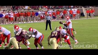 Eddie Goldman  Florida State Highlights ᴴᴰ [upl. by Sukram773]